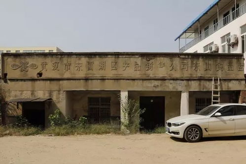 文物古跡 文物古跡 武漢市東西湖區(qū)人民政府 武漢臨空港經(jīng)濟(jì)技術(shù)開發(fā)區(qū)管委會